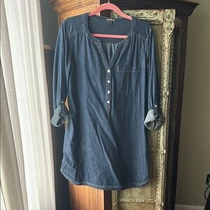 Express Women's Blue Denim Shirtdress